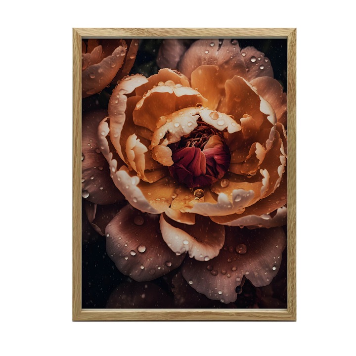 Картина "Оранжева божур", 30x40см, дървена рамка, мат 230 gsm