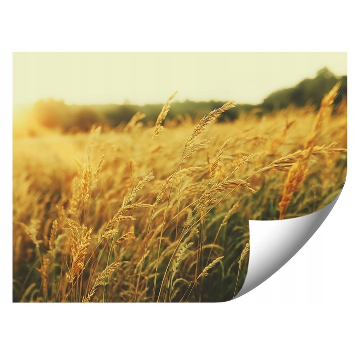 Fotótapéta FT-09-24, 200x140cm, élénk színek, UV-álló, ragasztóval és útmutatóval együtt