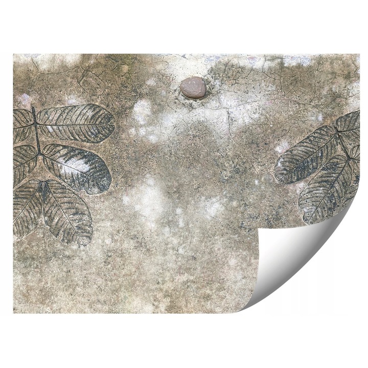 Fotótapéta Vázlatos Levelek Betonon, 368x254cm, élénk színek, UV-álló