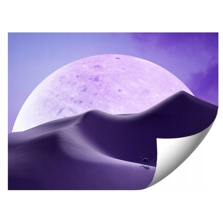 Fototapet Senny_Krajobraz, 294x260cm, culori vii, rezistent la UV, set cu adeziv si instructiuni