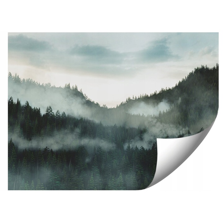 Fototapet, 294x260cm, flizelina, culori vii, rezistent la UV, set cu adeziv si instructiuni