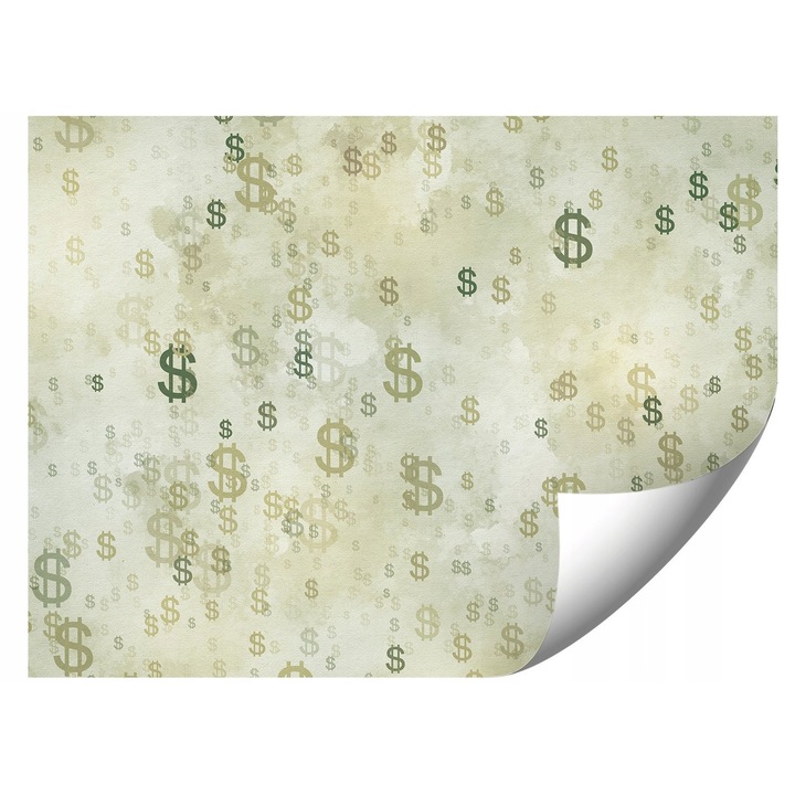 Fototapet Dolar, 294x260cm, culori vii, rezistent la UV, set cu adeziv si instructiuni