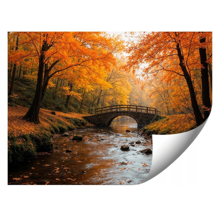 Fototapeta multicolora, 294x260cm, design lac si padure, montaj usor, inclusiv adeziv si instructiuni