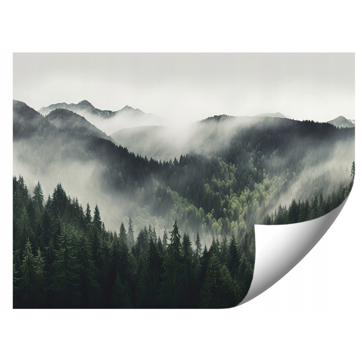 Fototapeta, 368x254cm, design padure, culori vii, montaj usor, set cu adeziv si instructiuni