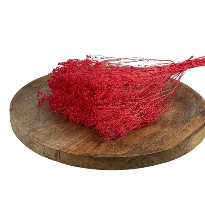 Buchet flori decorative ED Collection, rosu, 100gr