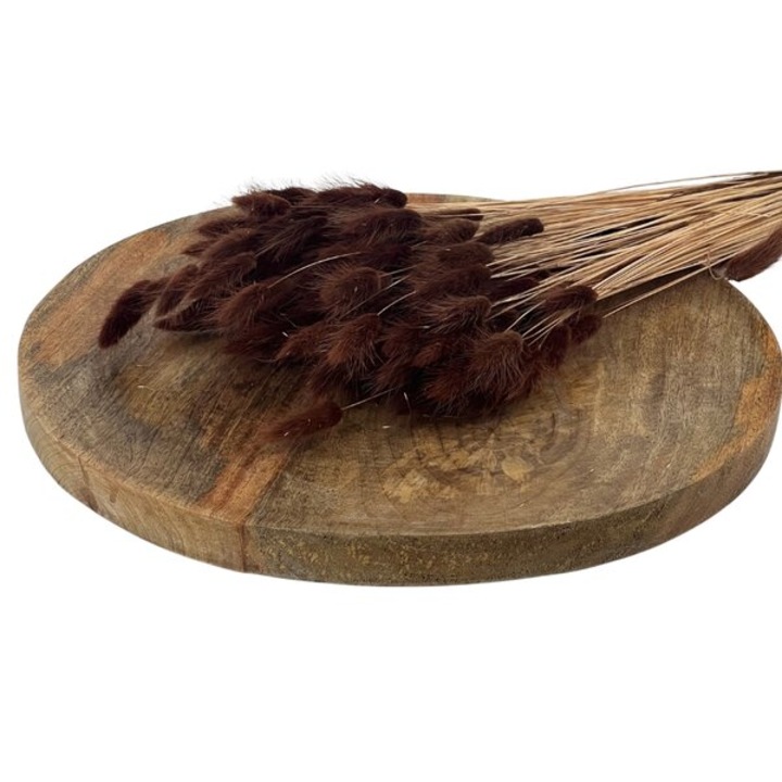 Buchet plante artificiale, ED Collection, Apoxeramena Bunny Tails Lagurus, 100g, culoare cafenie