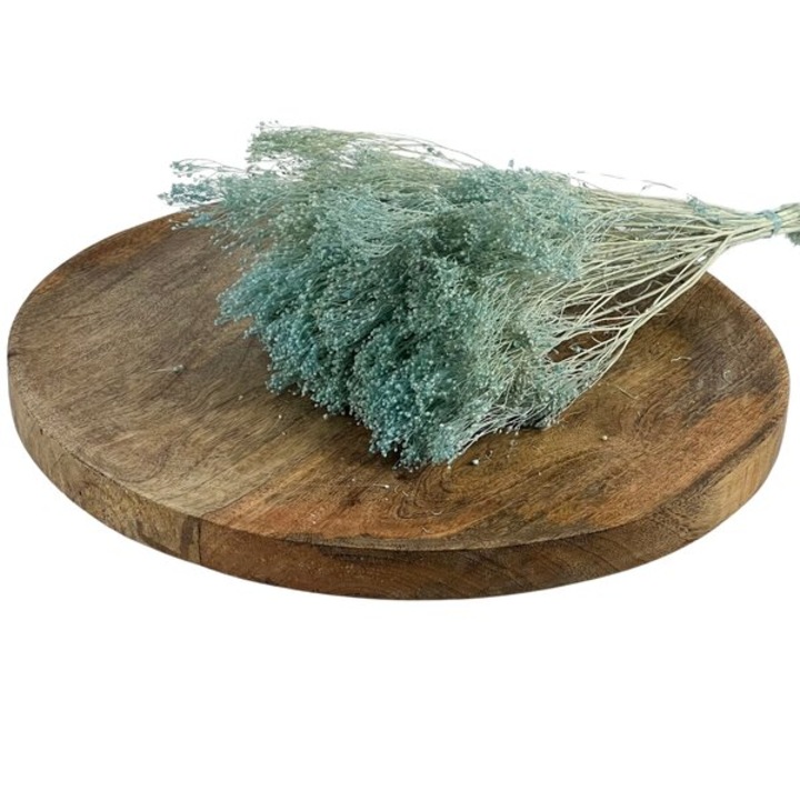 Buchet decorativ, ED Collection, BROOM BLOOM, 100gr, albastru