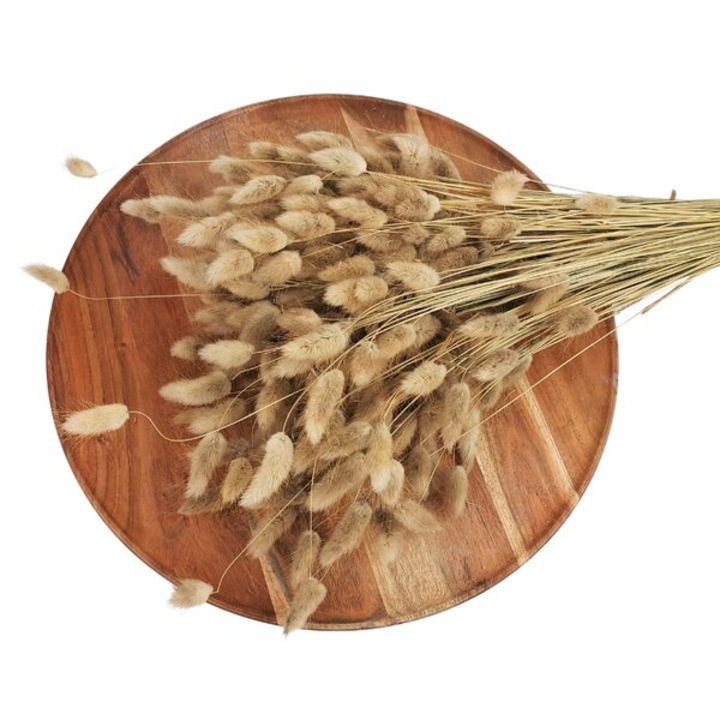 Set Lagurus uscat, ED Collection, 100g