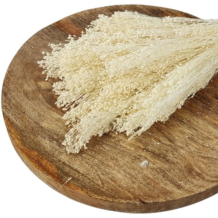 Bucata decorativa ED Collection Broom Bloom 100gr alb 45cm