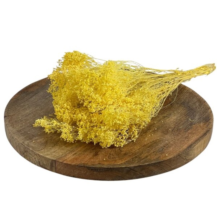 Buchet de flori, ED Collection, BROOM BLOOM, galben, 100gr