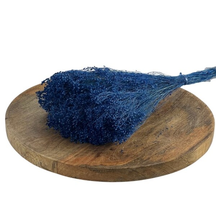 Buchet de flori, ED Collection, BROOM BLOOM, 100gr, albastru