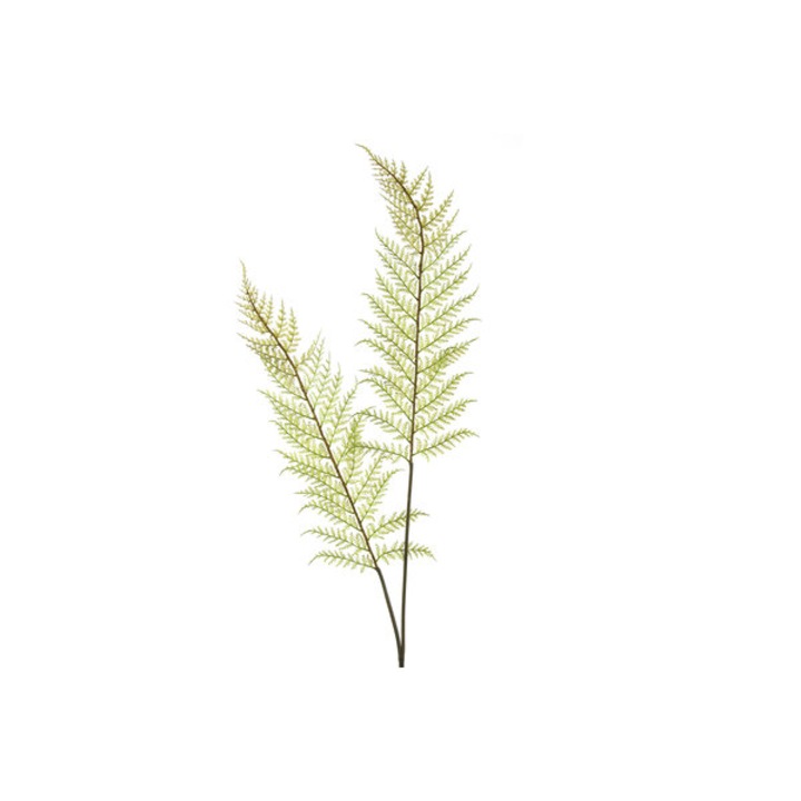 Plante artificiale, DECOSTAR BV, Pteropsida, 14x81cm, multicolor