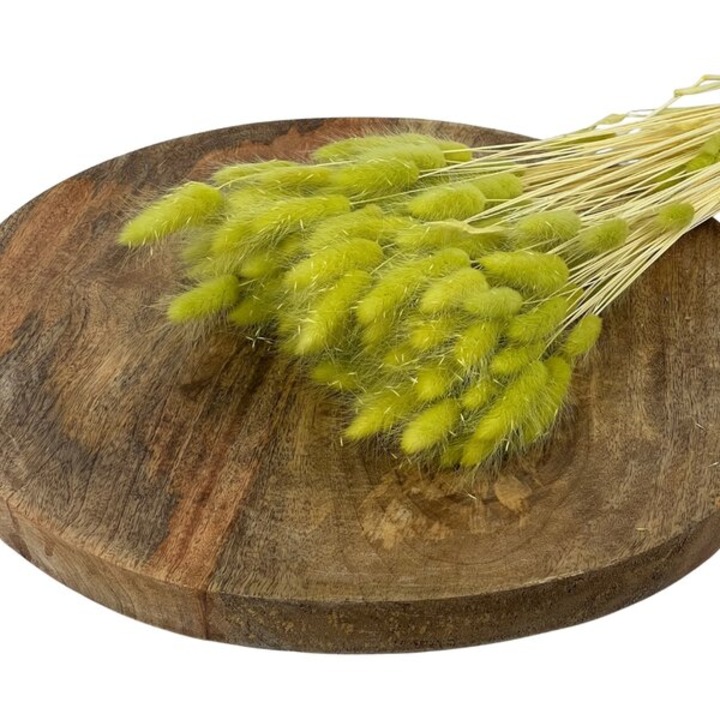 Buchet plante decorative uscate, ED Collection, Louloudia Lagurus, 100g, verde