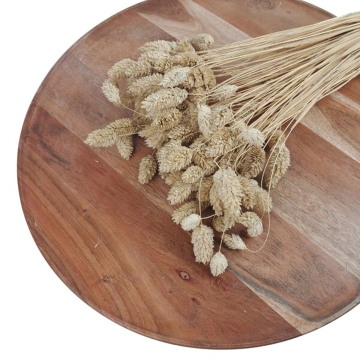 Buchet de flori, ED Collection, Phalaris apoxeramena, 100gr, 60x70cm, set