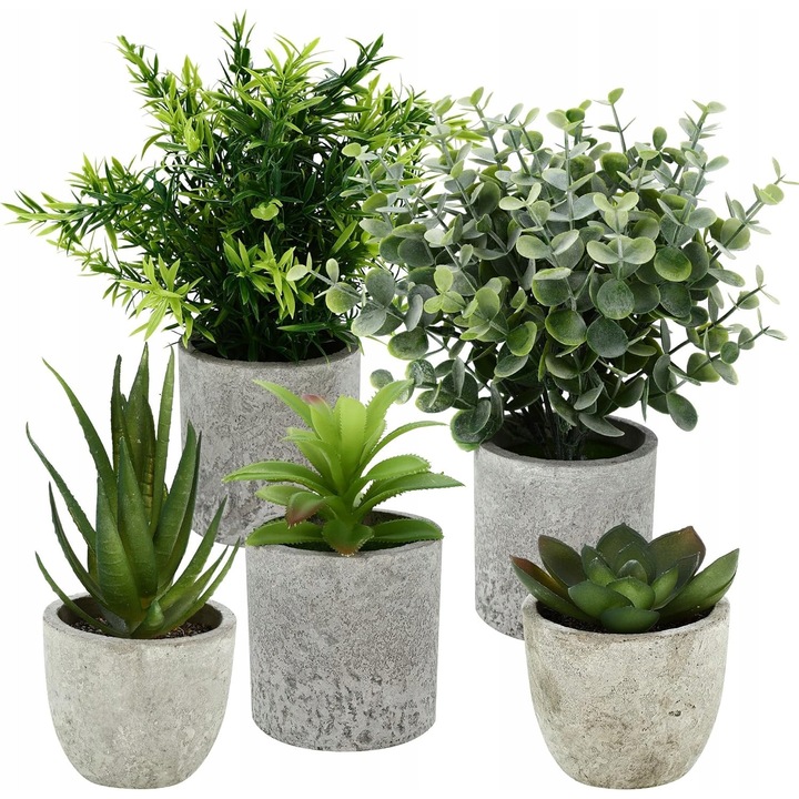 Set 5 Plante Artificiale, Aloe Eagle Claw, Orhidee, Eucalipt, Agava, Mini Plante, Verde, Decorare Birou si Dormitor