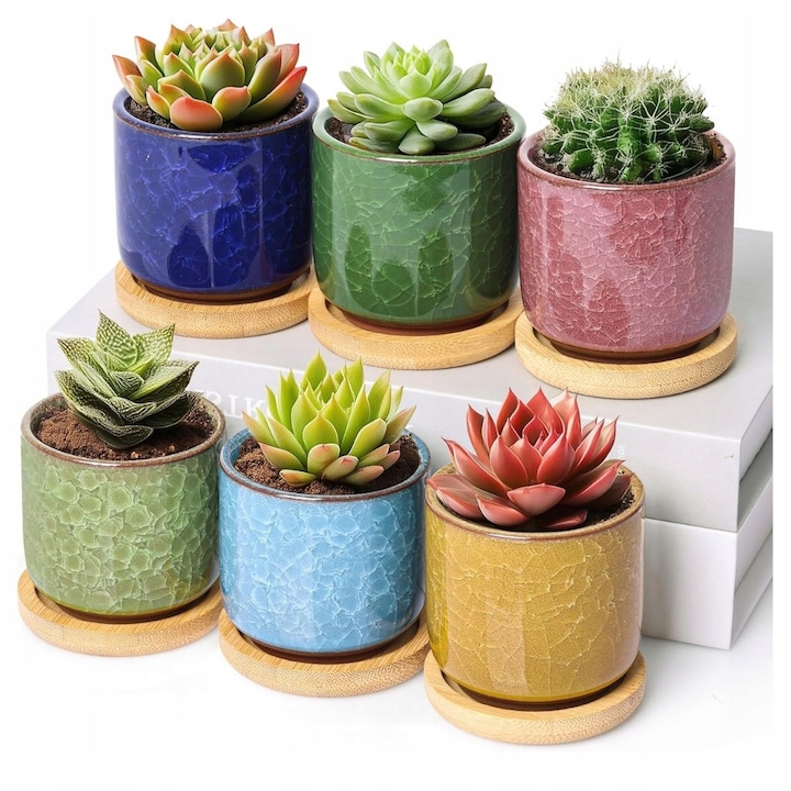 Set 6 ghivece ceramice pentru suculente cu suport din lemn, 6x6cm, multicolor