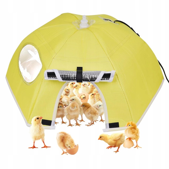 Tojás inkubátor, 30W, digitális hőmérséklet-szabályozás, LED világítás, 220V, komplett készlet