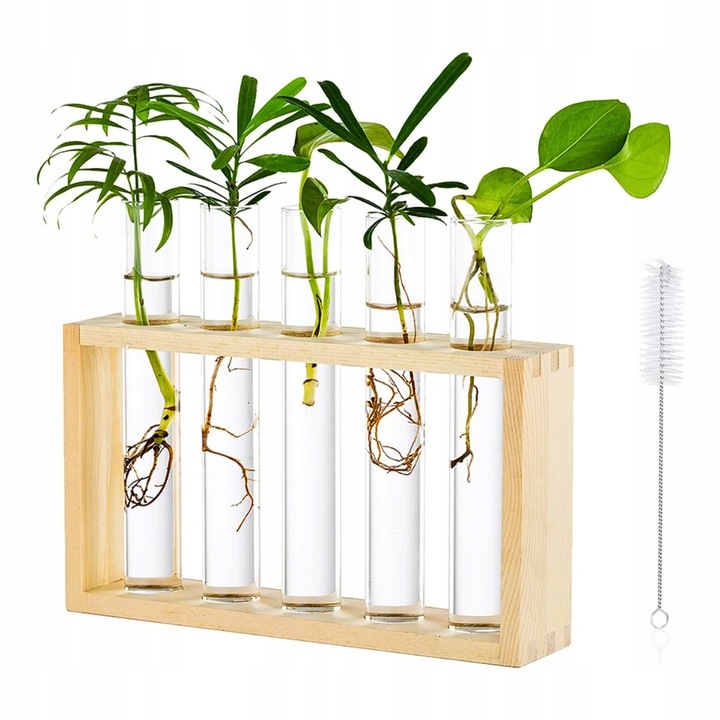 Stojak modern pentru rasaduri, 5 probete, suport din lemn, decorare interioara, dimensiuni 22x5x12,7cm