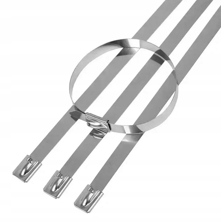 Set 100 coliere cabluri, inox, 4.6x300mm, argintiu