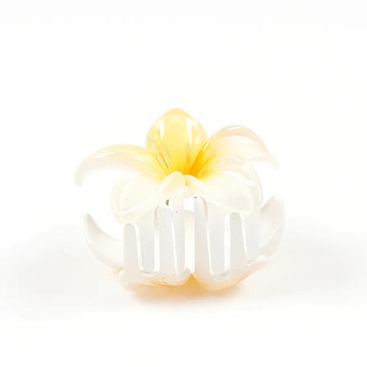 Cleste par floare alba cu detalii galbene