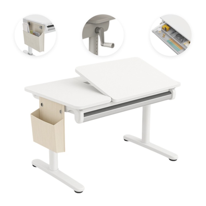 Birou reglabil Spacetronik SPE-X108WG 120x60cm