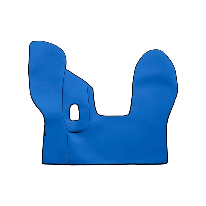 Camion Covoras central (pentru tunelul), F-CORE, pentru DAF CF 01.13-12.20, MANUAL, Albastru