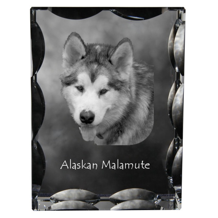 Art-Dog dekoratív kristály, személyre szabott fényképpel, 12x9x5cm, átlátszó