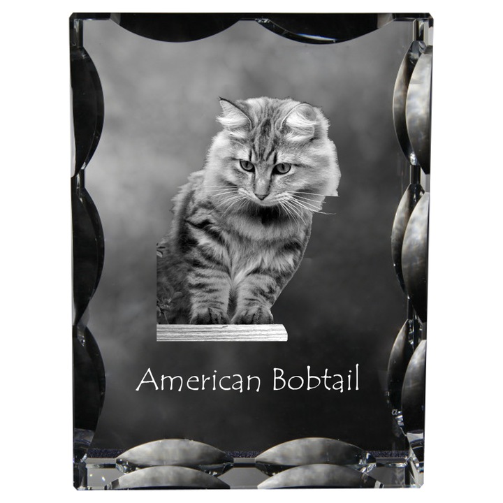 Art-Dog dekoratív kristály, Amerikai Bobtail, személyre szabható, 12x9x5cm