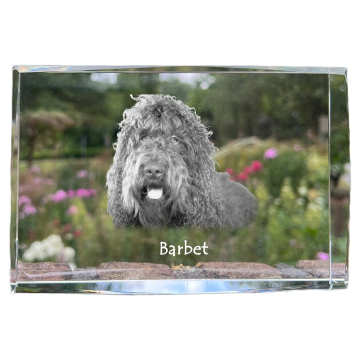 Kristály képkeret, Art-Dog, 18x12x4cm, személyre szabható kutyaképpel