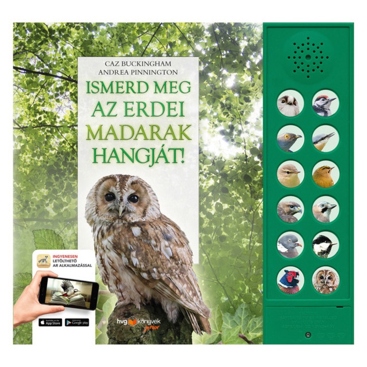 Descopera sunetele pasarilor din padure