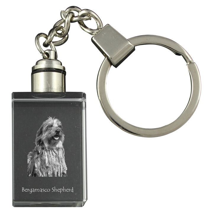 Kulcstartók, Art-Dog, Bergamasco kutya képpel ellátott kulcstartó, világító, optikai kristály, 20x30x15mm
