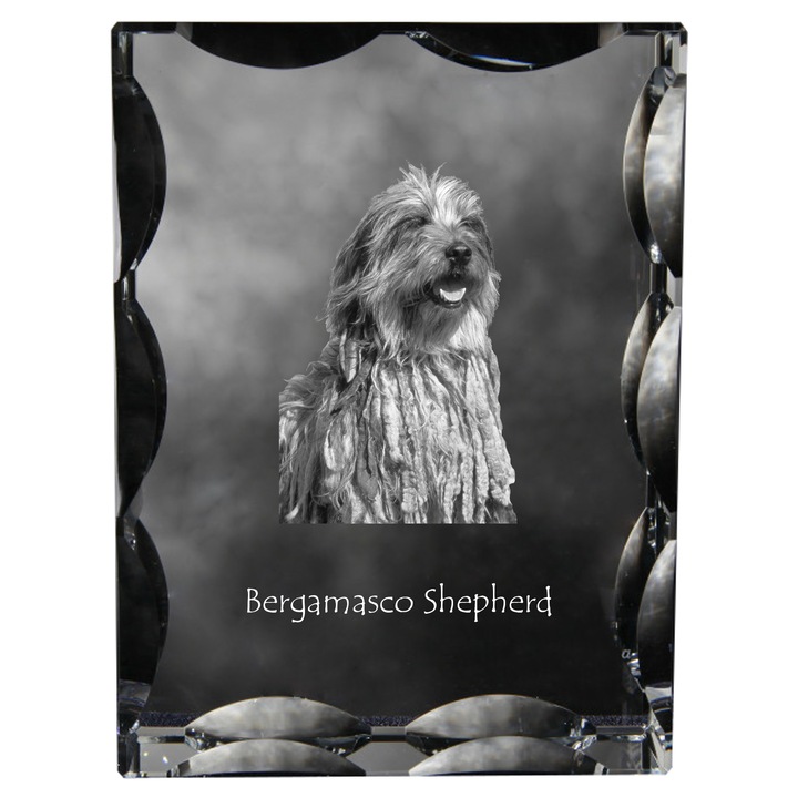 Statueta din cristal cu fotografie personalizata, Art-Dog, 12x9x5cm, transparent