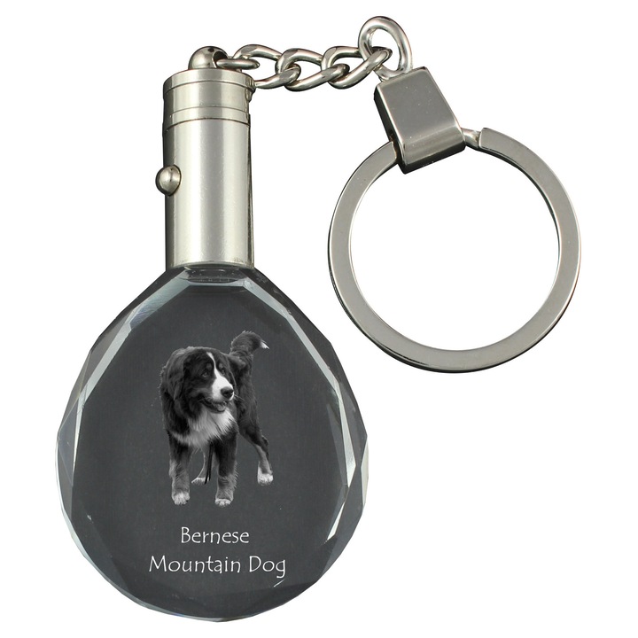 Kristály kulcstartó, Art-Dog, Berni hegyi kutya, világítás, 40x35x10mm, díszdoboz