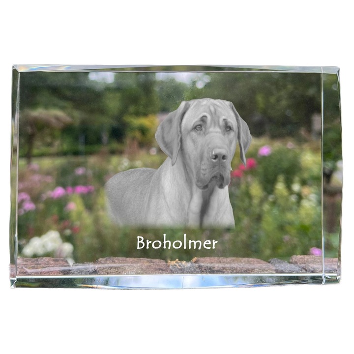 Kristály képkeret, Art-Dog, 18x12x4cm, személyre szabható fényképpel, háziállatoknak