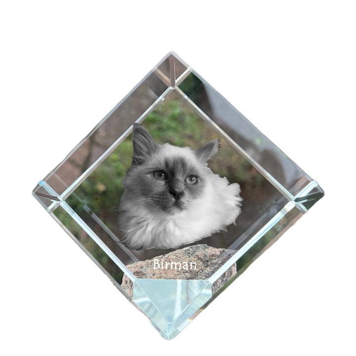 Cubica din cristal cu gravura personalizata, Art-Dog, 8x8x8cm, ideala pentru birou, cadou pentru iubitorii de animale