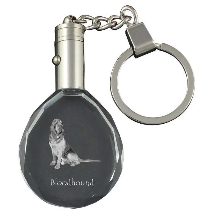 Kristály kulcstartó, Art-Dog, Bloodhound, személyre szabható, világító, 40x35x10mm, díszdobozban