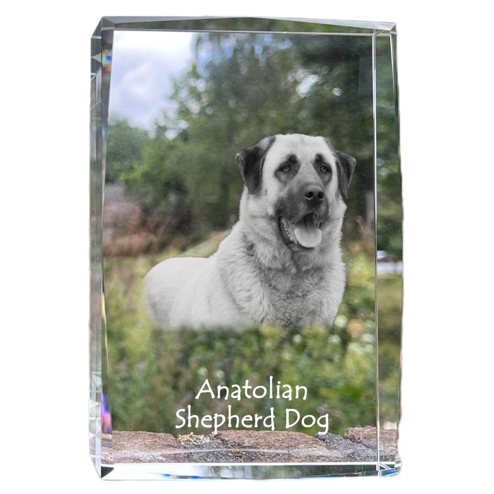 Rama foto din cristal, Art-Dog, cu fotografie personalizata, 18x12x4cm, cristal optic