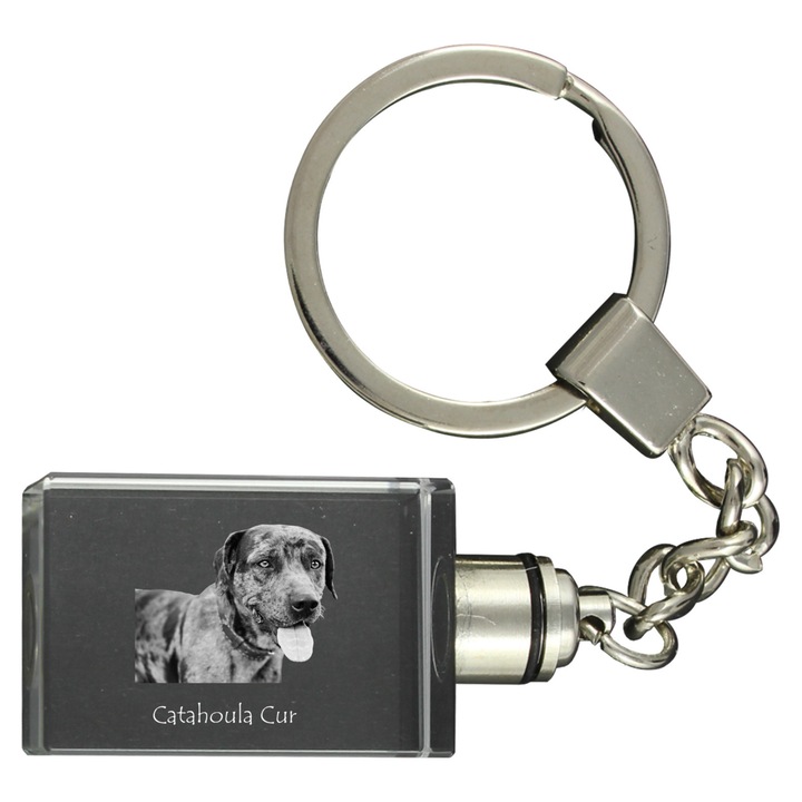 Catahoula Leopard Dog kristály kulcstartók, világító kulcstartó, ajándék szett, 20x30x15mm