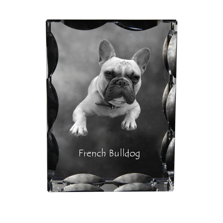 Statueta din cristal cu fotografie, Art-Dog, 12x9x5cm, personalizabila, pentru amintirea animalului de companie