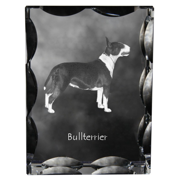 Statueta din cristal cu fotografie personalizata, Art-Dog, 12x9x5cm, pentru caini