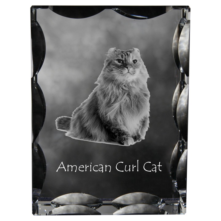 Statueta din cristal cu fotografie personalizata, Art-Dog, 12x9x5cm, decorativa pentru amintiri despre animale de companie