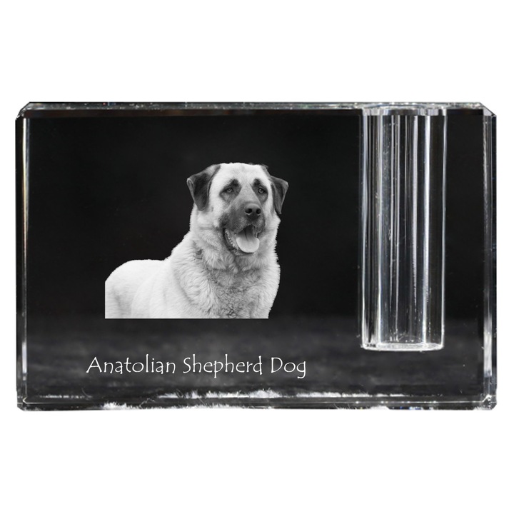 Поставка за офис артикули, Art-Dog, кристална поставка за химикалки, персонализирана, 11x4x7см