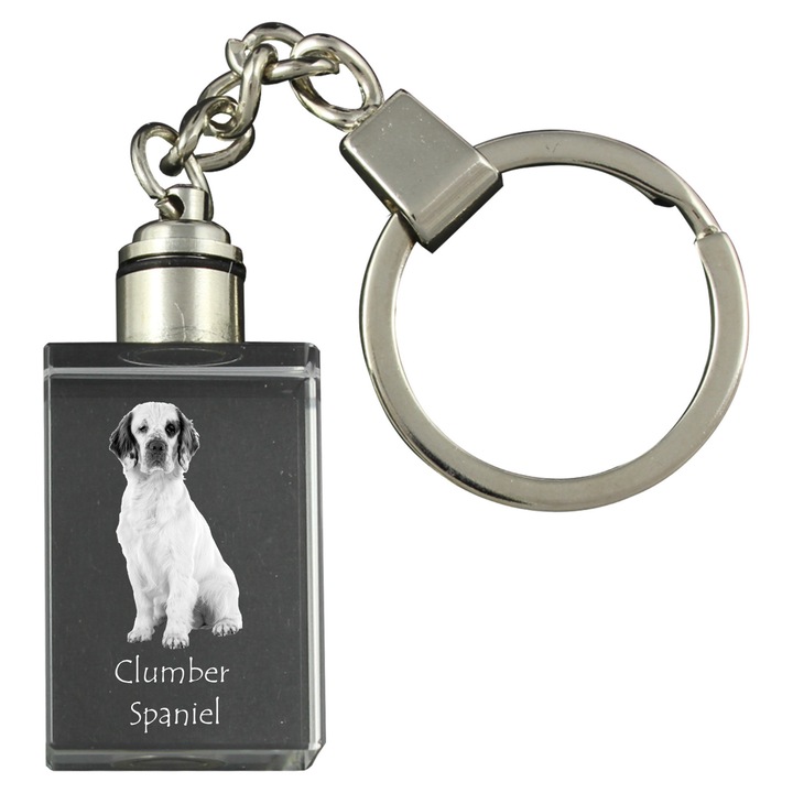 Kristály kulcstartó Clumber Spániel képpel, világító kulcstartó, ajándék szett, 20x30x15mm