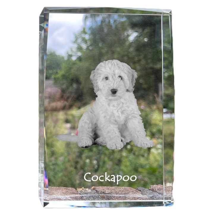 Kristály képkeret, Art-Dog, 18x12x4cm, háziállat emlékekhez