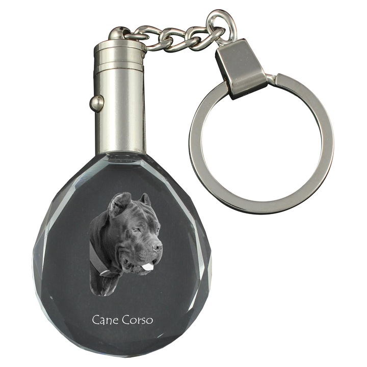 Kristály kulcstartó, Art-Dog, kutya kulcstartó, világítás, 40x35x10mm, díszdoboz