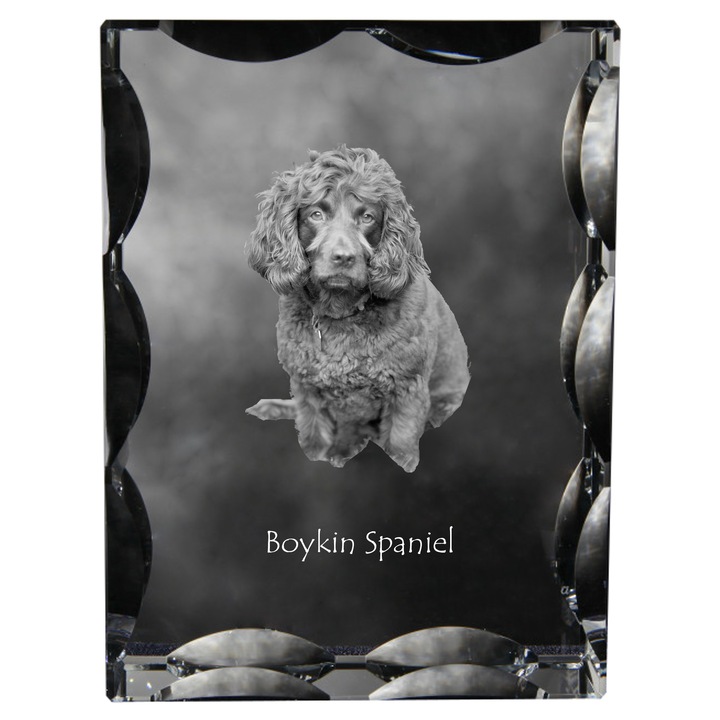 Személyre szabott dekoratív kristály fényképpel, Art-Dog, 12x9x5cm, átlátszó