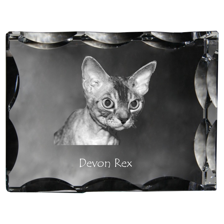 Rama foto clasica Art-Dog, krysztal cu poza, personalizabila, 12x9x5cm