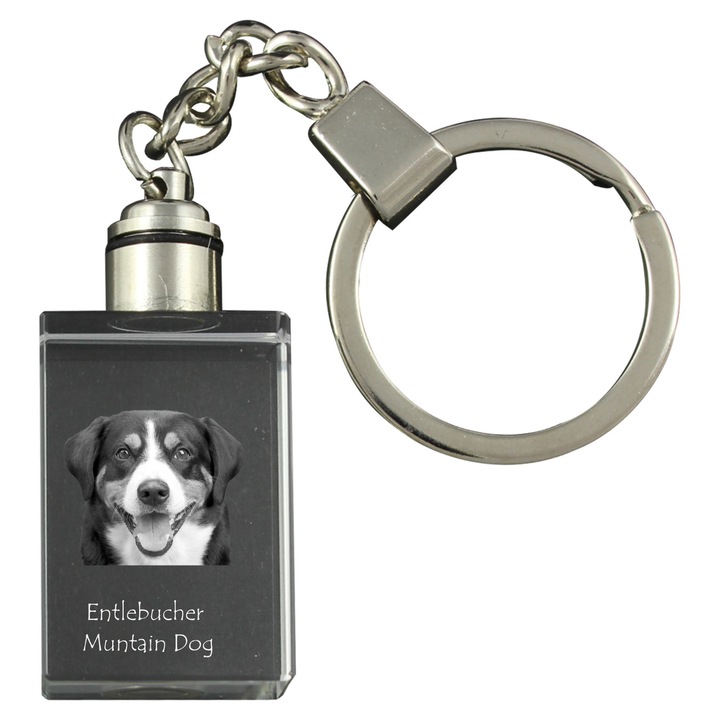 Kristály kulcstartók kutya képpel, Art-Dog, világító, 20x30x15mm, egyedi ajándék