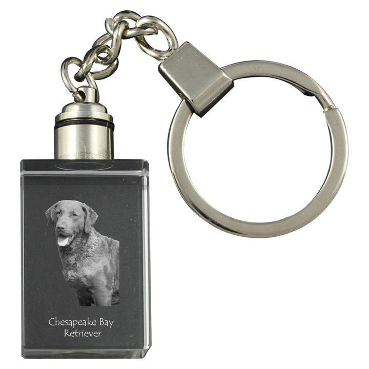 Brelocuri cu cristale, Art-Dog, Chesapeake Bay Retriever, 20x30x15mm, iluminat