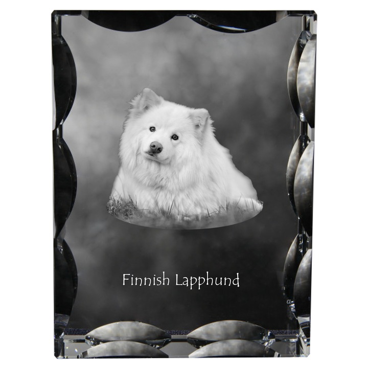 Kristály szobor fényképpel, Art-Dog, Finn Lapphund, 12x9x5cm